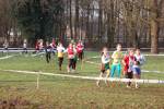 Someren110109050025_small.jpg (3698 Byte)