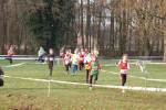 Someren110109050007_small.jpg (3857 Byte)