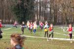 Someren110109050028_small.jpg (3932 Byte)