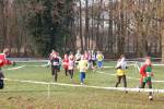 Someren110109050029_small.jpg (3698 Byte)