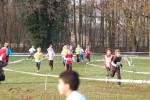 Someren110109050032_small.jpg (3932 Byte)