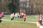 Someren110109050033_small.jpg (3698 Byte)