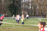 Someren110109050035_small.jpg (3857 Byte)