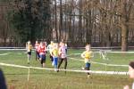 Someren110109050036_small.jpg (3932 Byte)