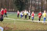 Someren110109050038_small.jpg (3946 Byte)