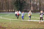 Someren110109050040_small.jpg (3932 Byte)