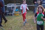 Someren110109050051_small.jpg (3857 Byte)