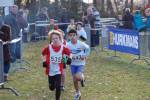 Someren110109050057_small.jpg (3698 Byte)