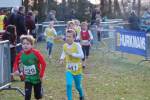 Someren110109050065_small.jpg (3698 Byte)