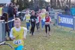 Someren110109050066_small.jpg (3946 Byte)