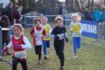 Someren110109050069_small.jpg (3698 Byte)