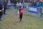 Someren110109050073_small.jpg (3698 Byte)