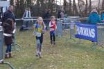 Someren110109050093_small.jpg (3698 Byte)