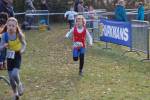 Someren110109050095_small.jpg (3857 Byte)