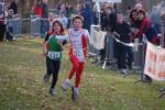 Someren110109050112_small.jpg (3932 Byte)