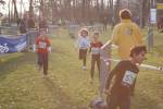 Someren110109050218_small.jpg (3946 Byte)