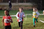 Someren110109050224_small.jpg (3932 Byte)