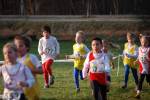 Someren110109050229_small.jpg (3698 Byte)