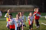 Someren110109050230_small.jpg (3946 Byte)