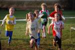 Someren110109050232_small.jpg (3932 Byte)