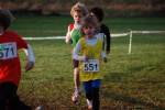 Someren110109050235_small.jpg (3857 Byte)