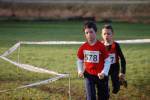 Someren110109050241_small.jpg (3698 Byte)