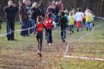 Someren110109050245_small.jpg (3698 Byte)