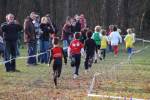 Someren110109050246_small.jpg (3946 Byte)