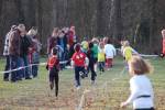 Someren110109050247_small.jpg (3857 Byte)