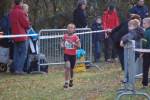 Someren110109050250_small.jpg (3946 Byte)