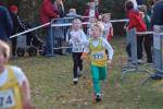 Someren110109050273_small.jpg (3698 Byte)