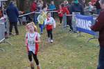 Someren110109050282_small.jpg (3946 Byte)