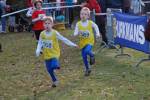 Someren110109050285_small.jpg (3698 Byte)