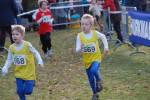 Someren110109050286_small.jpg (3946 Byte)