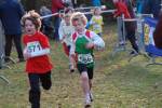 Someren110109050289_small.jpg (3698 Byte)