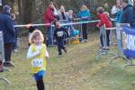 Someren110109050294_small.jpg (3946 Byte)