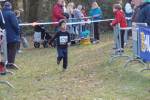 Someren110109050296_small.jpg (3932 Byte)