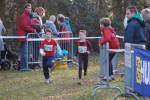 Someren110109050300_small.jpg (3932 Byte)