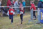 Someren110109050302_small.jpg (3946 Byte)