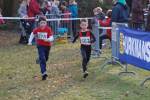 Someren110109050304_small.jpg (3932 Byte)