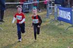 Someren110109050306_small.jpg (3946 Byte)