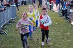 Someren110109050359_small.jpg (3857 Byte)