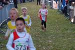 Someren110109050361_small.jpg (3698 Byte)