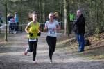 Venray110130010016_small.jpg (3932 Byte)