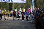 Venray110130010089_small.jpg (3698 Byte)