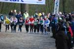 Venray110130010236_small.jpg (3932 Byte)