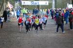 Venray110130010245_small.jpg (3698 Byte)