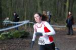 Venray110130010313_small.jpg (3698 Byte)