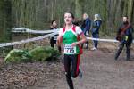 Venray110130010320_small.jpg (3932 Byte)