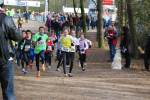 Venray110130010398_small.jpg (3946 Byte)